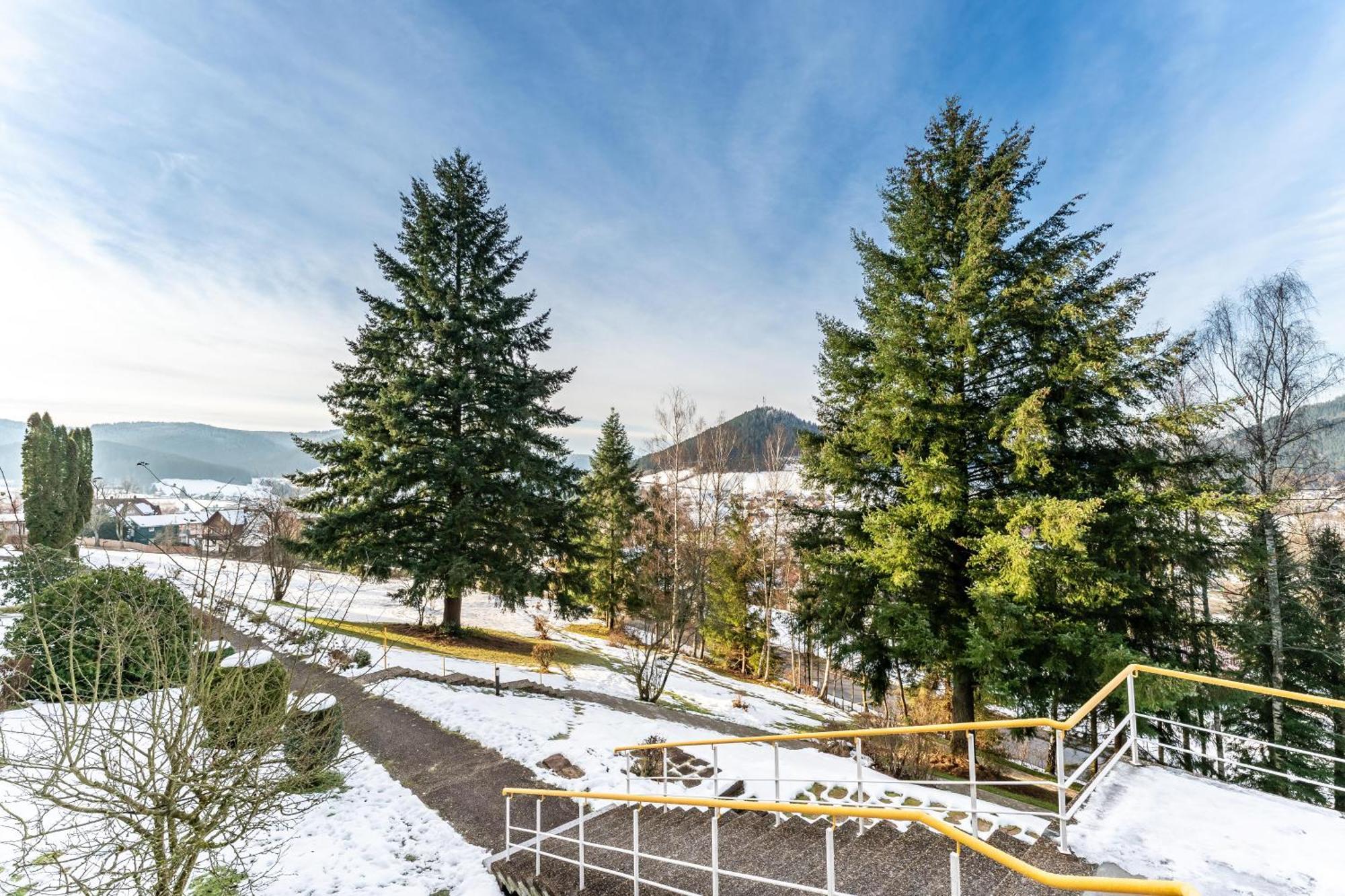 Apartamento Juri5 In Baiersbronn Mit Pool Exterior foto